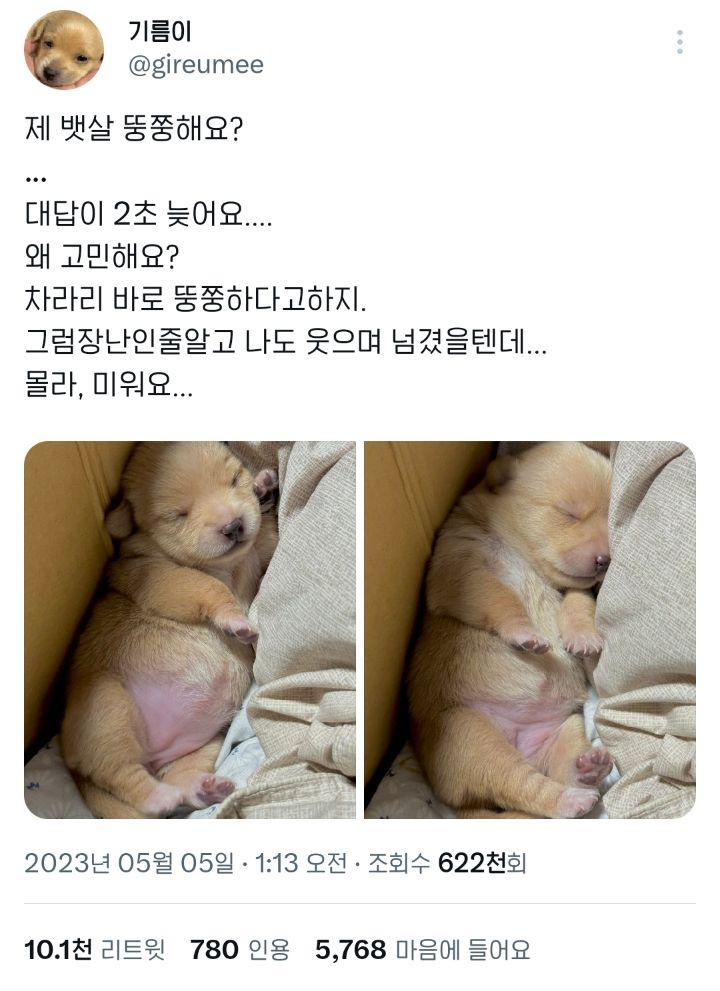 요즘 트위터에서 핫한 갱얼쥐 기름이 | 인스티즈