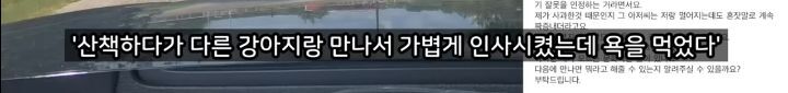 미국에서 강아지 산책 시키다 어느 한국인이 욕 먹은 이유 | 인스티즈