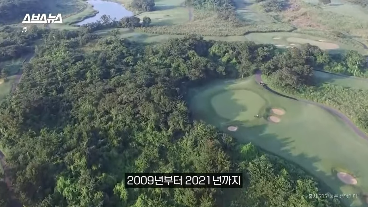제주도에서 나무 10028그루가 베어진 이유 | 인스티즈