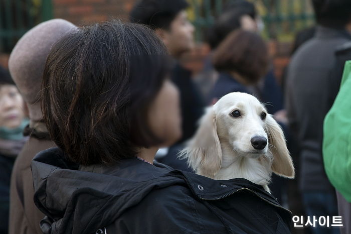 올해도 기대되는 '수능 강아지' 모음 | 인스티즈
