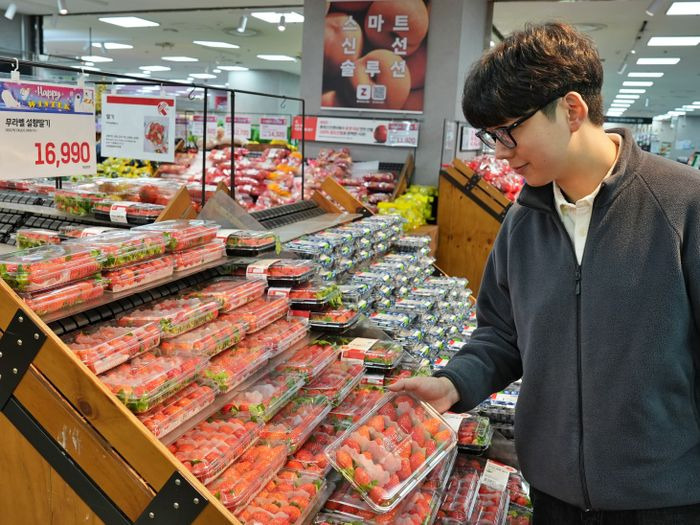 롯데마트, '무라벨 설향 딸기' 출시…라벨 제거해 포장 간소화 | 인스티즈