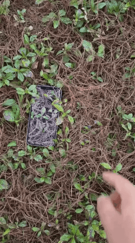 아이폰 갤럭시 화질 차이 | 인스티즈