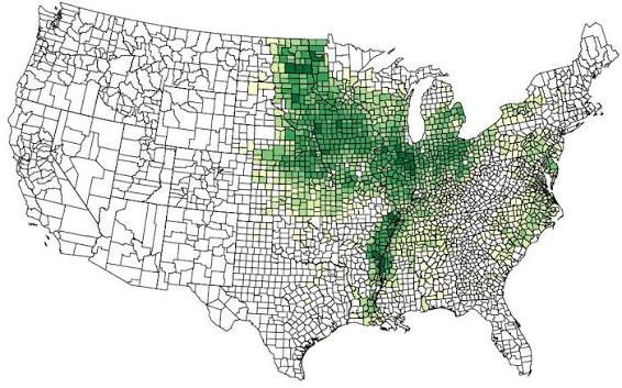트럼프 한 마디에 대중전략이 제대로 꼬인 일본(요약ㅇ) | 인스티즈