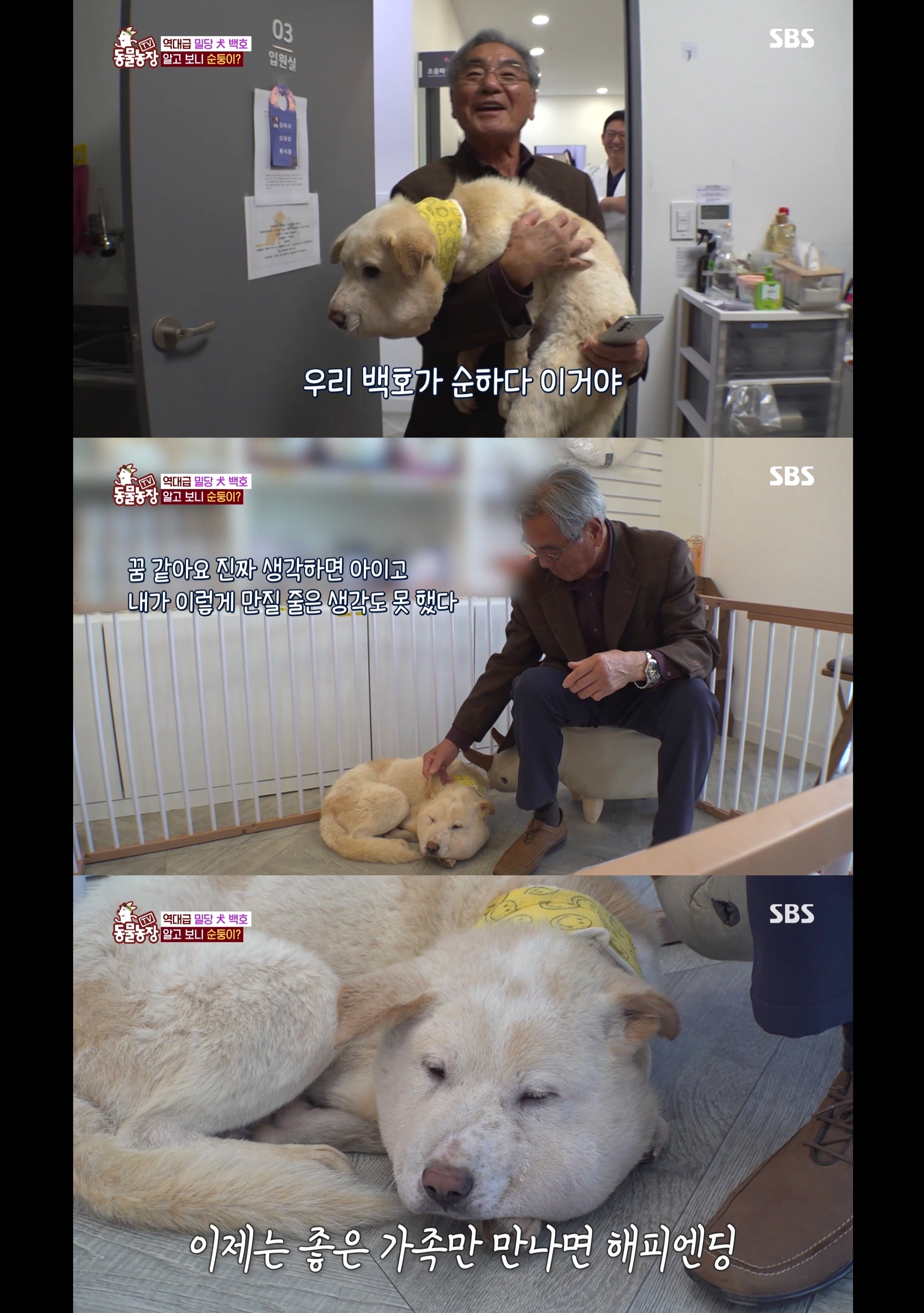 개가 너무 똑똑해서 역대급으로 구조 힘들었던 이번주 동물농장 방송.jpg | 인스티즈