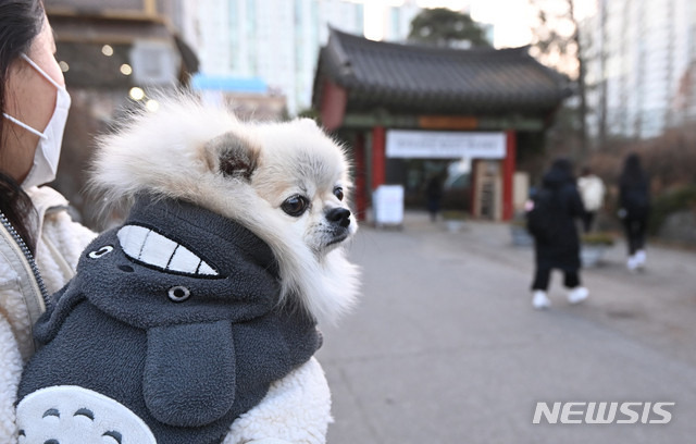 언니, 수능 잘보구와 | 인스티즈