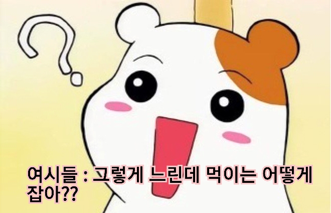 🦈 태어나고 무려 150년 지나서야 첫 짝짓기 하는 동물 | 인스티즈