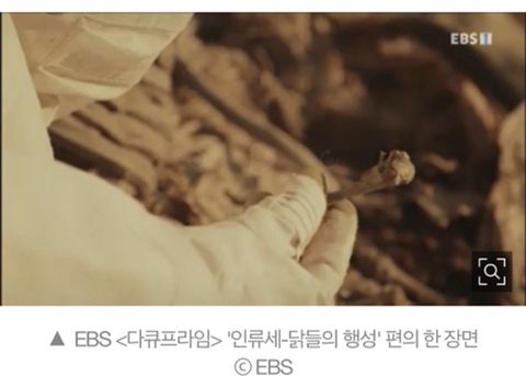 치킨인류 이미지