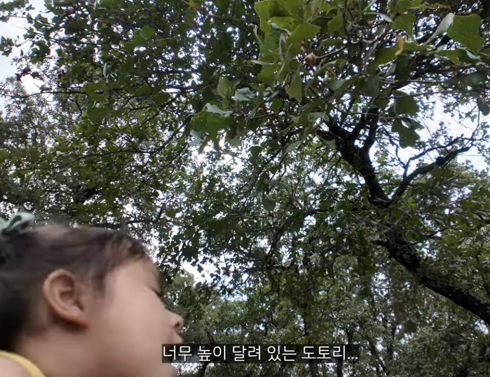이중언어 (🇰🇷🇺🇸)로 키우면 겪는 현실적인 문제점 | 인스티즈