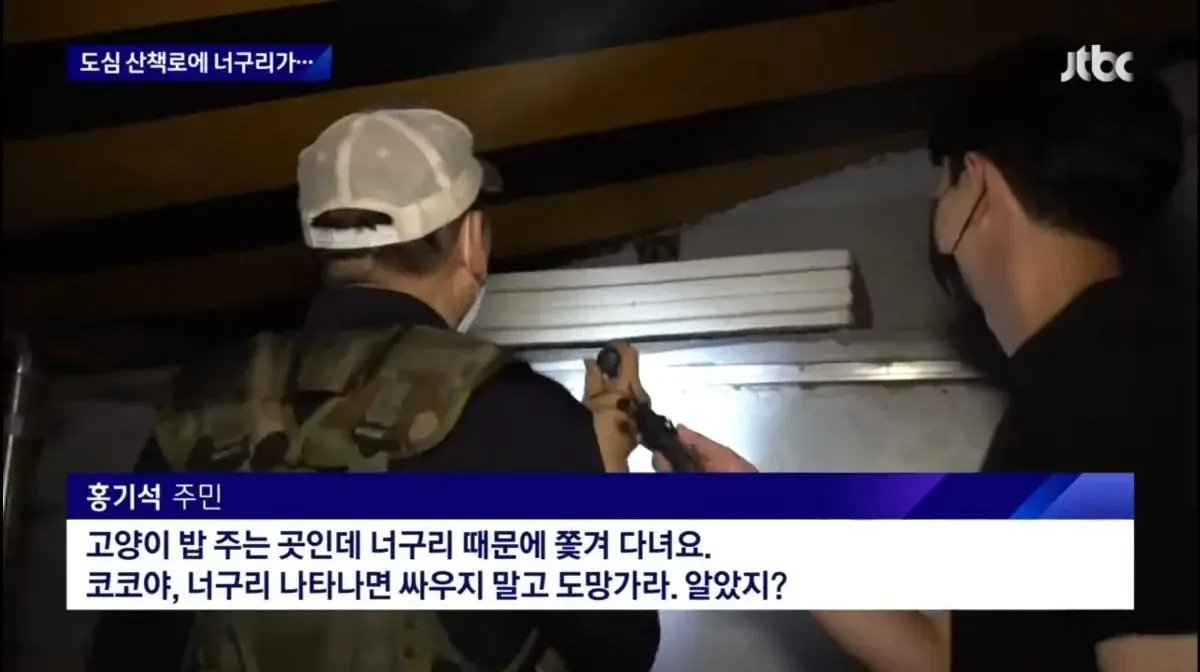 산책로에서 너구리를 만나면 강아지를 바로 안아들어야함 | 인스티즈