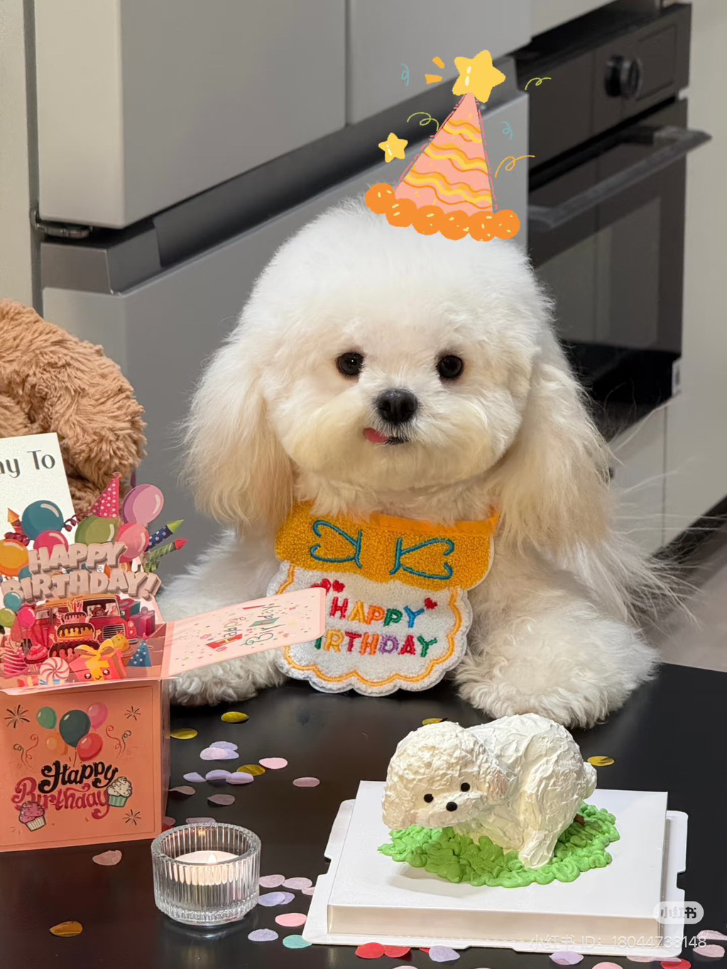 내 생일에 내가 똥싸는 케이크 먹음 | 인스티즈
