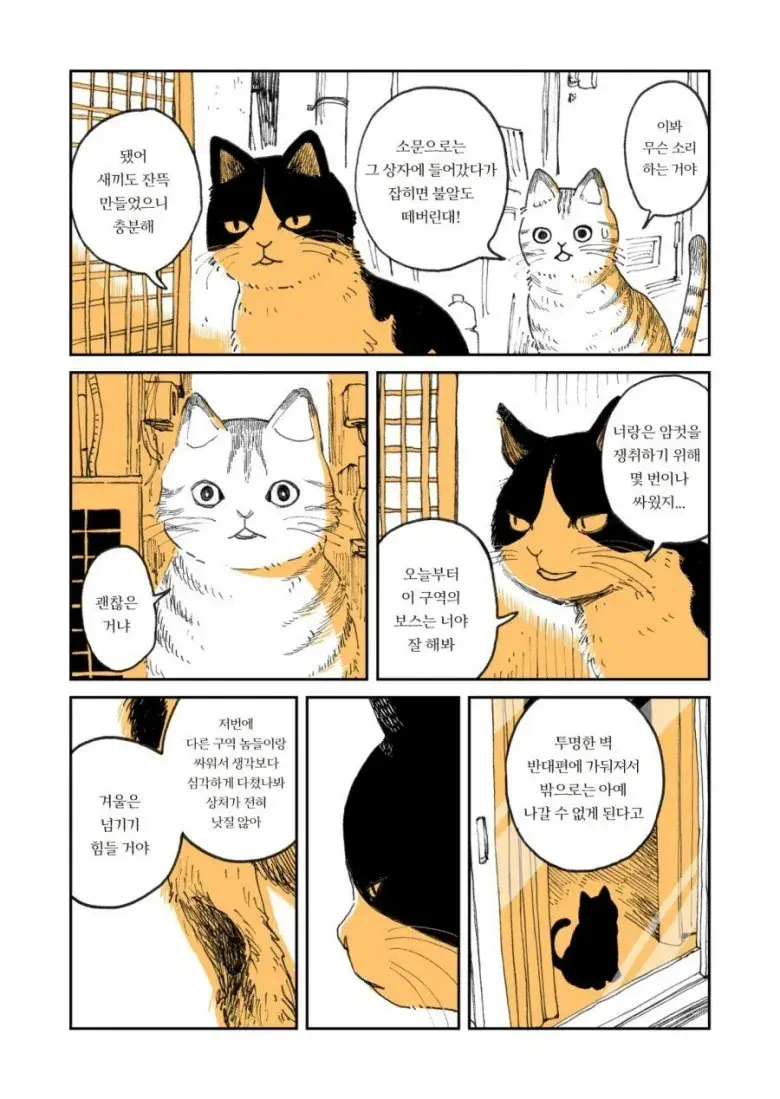 고양이 두마리 | 인스티즈