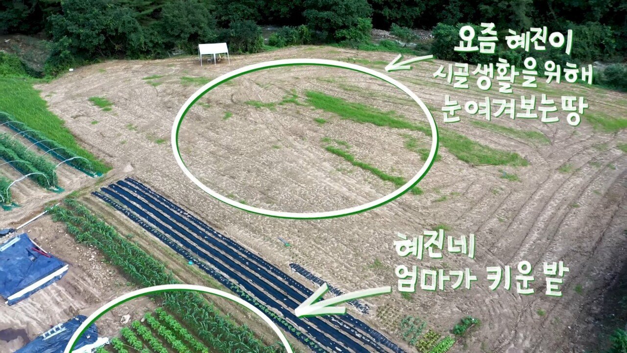 실제로 귀촌을 준비 중이라는 연예인.jpg | 인스티즈