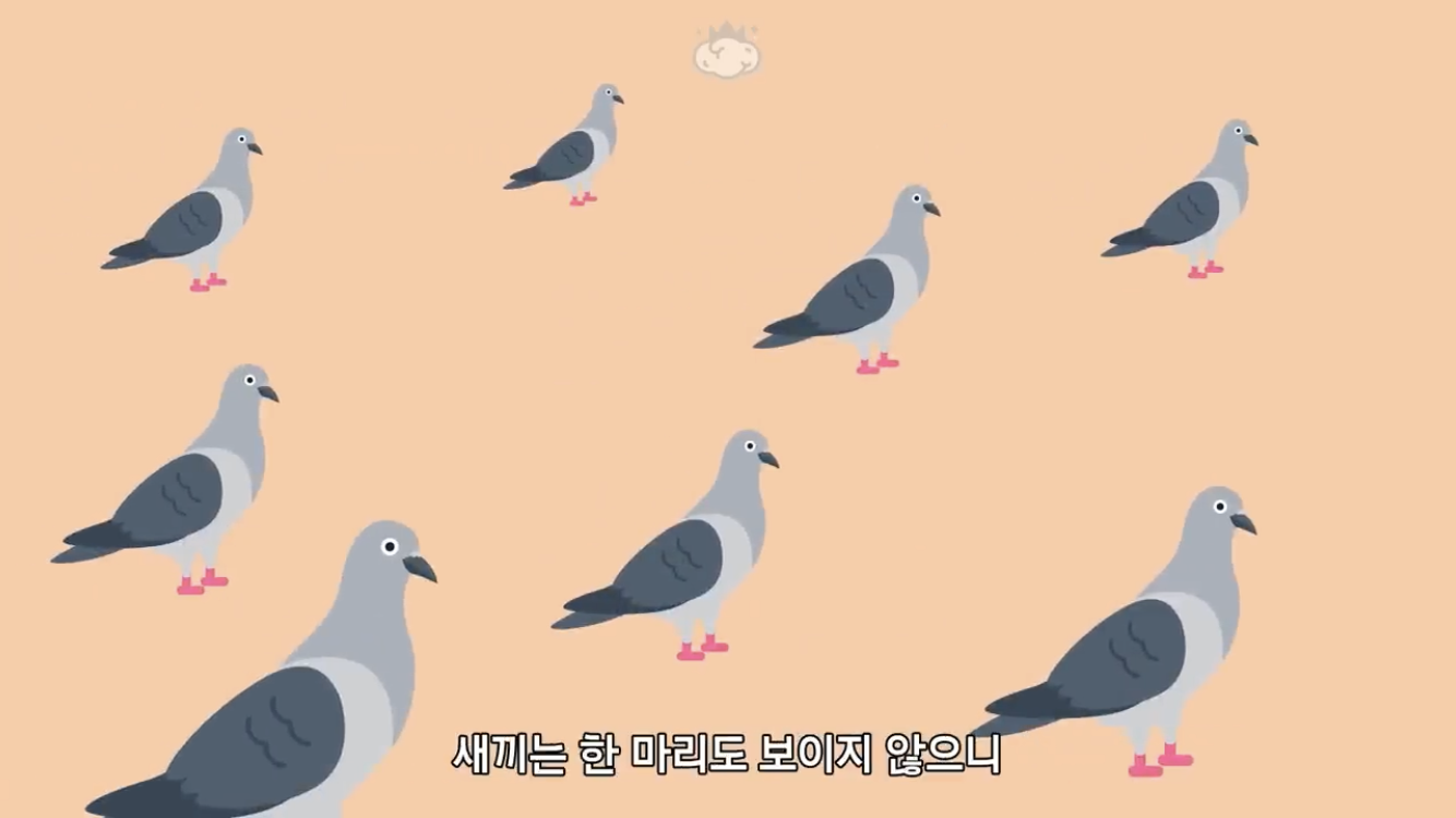 거리에 비둘기가 이렇게 많은데 왜 새끼 비둘기는 안 보일까? | 인스티즈