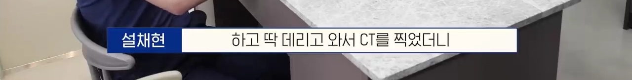 교통사고난 유기견 입양한 설채현 수의사 그리고 윙크 근황😉 | 인스티즈