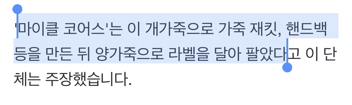 '마이클 코어스 핸드백' 중국산 개가죽 사용 논란 확산 | 인스티즈