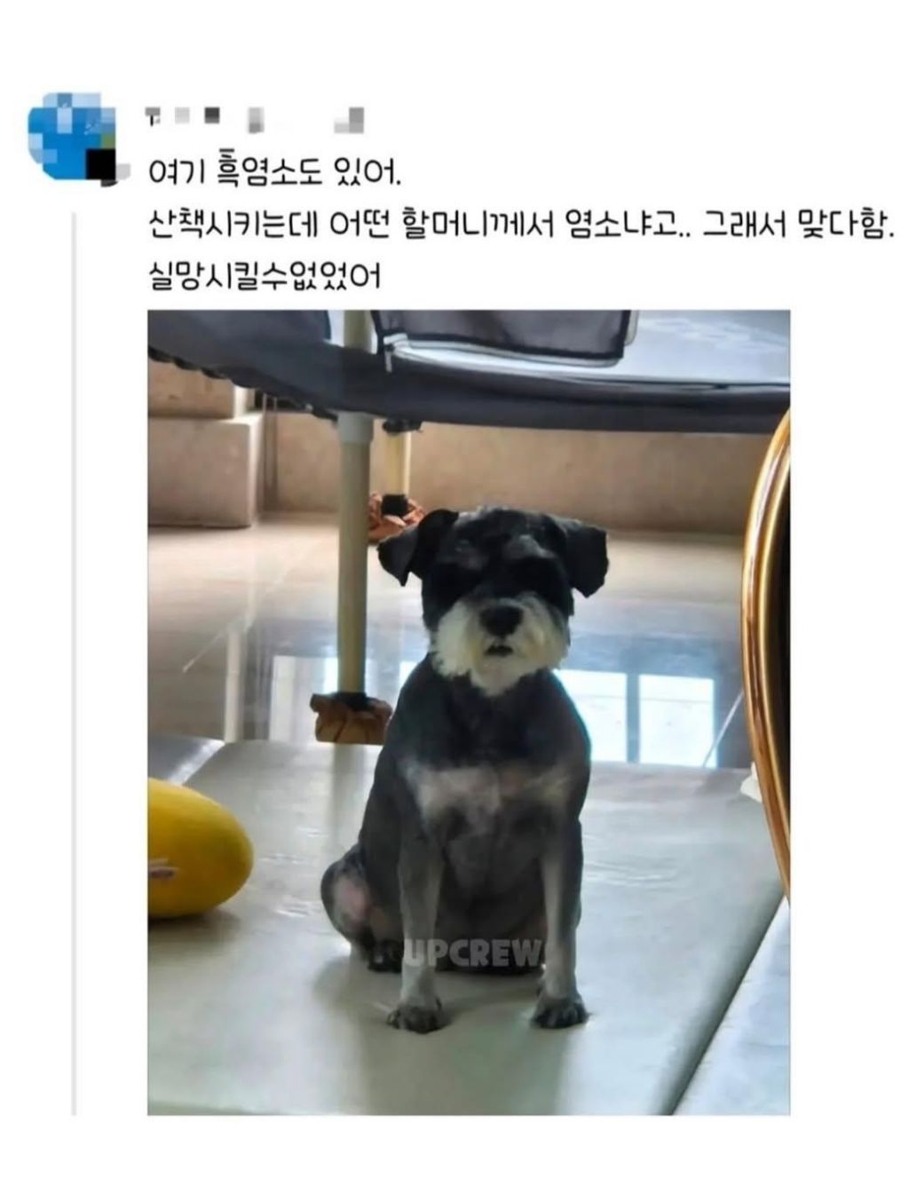 편견없는 대한민국 모음 | 인스티즈