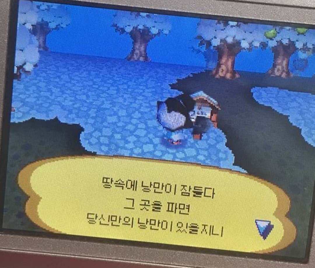 동물의 숲 명언, 위로 글 | 인스티즈