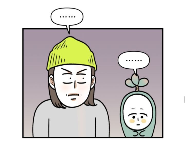 다육이 키우는 초보자들이 제일 많이 하는 실수 | 인스티즈