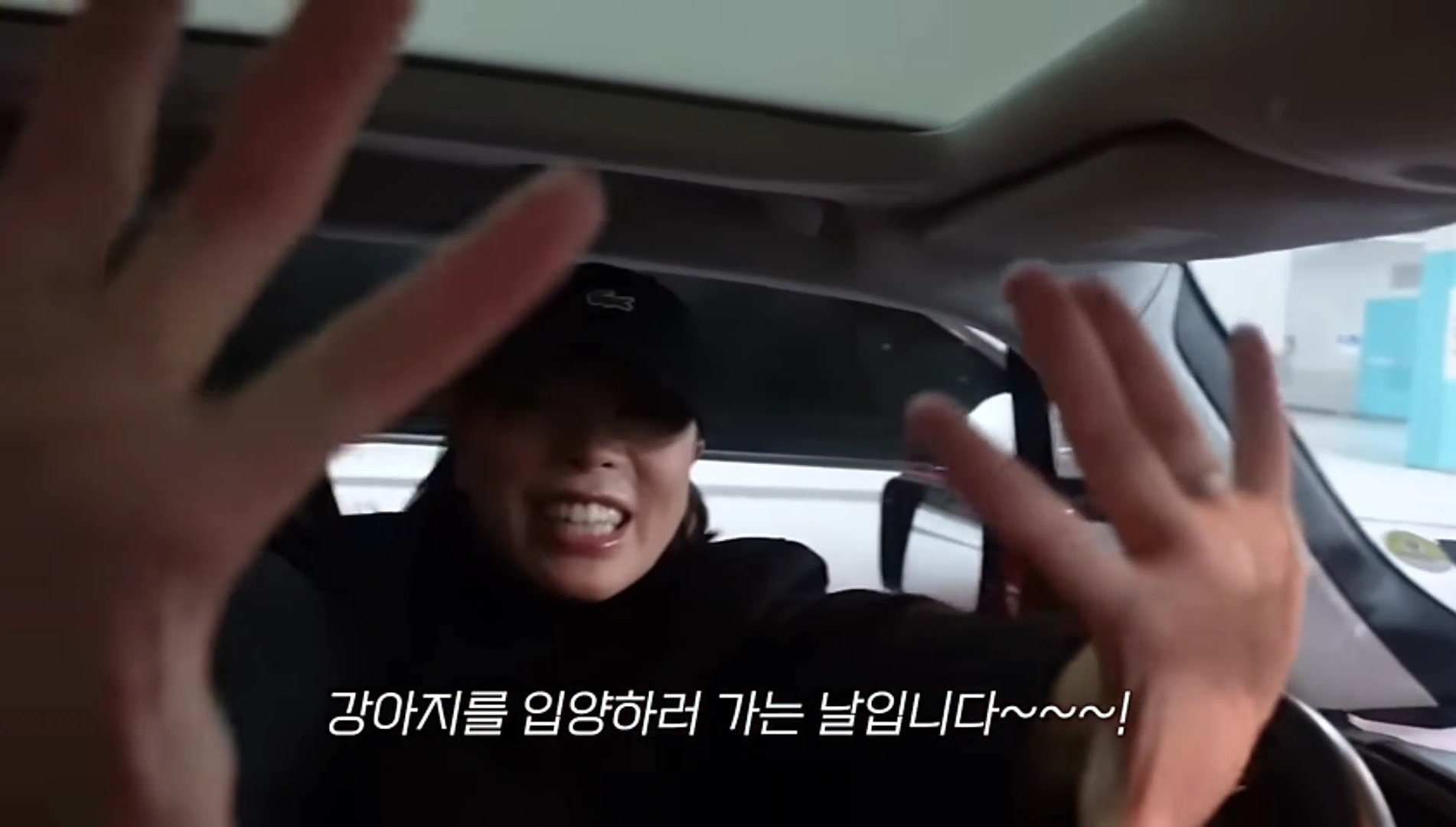 드디어 강아지 입양한 가비.youtube | 인스티즈