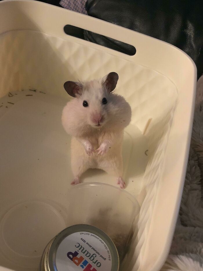 천 마디 말보다 가치 있는 사진들 모음 | 인스티즈