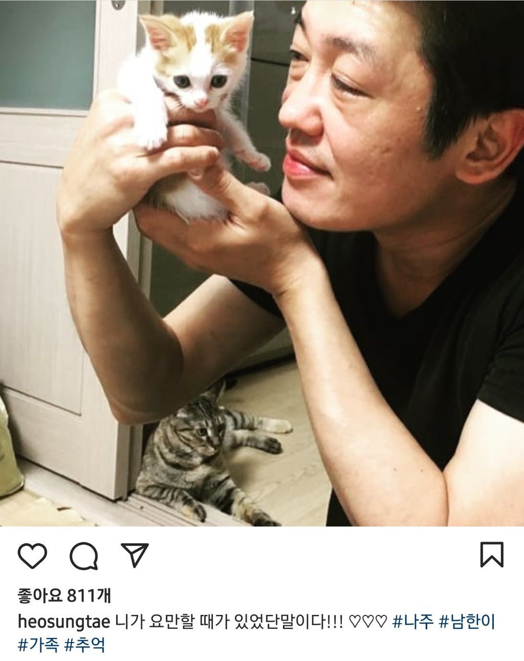 배우 허성태네 고양이들 | 인스티즈