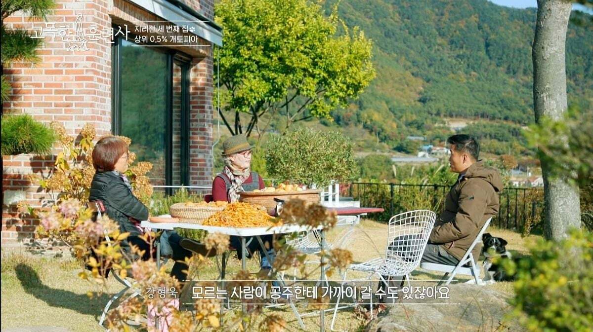 말티즈가 예민하고 잘 짖는 이유.jpg | 인스티즈