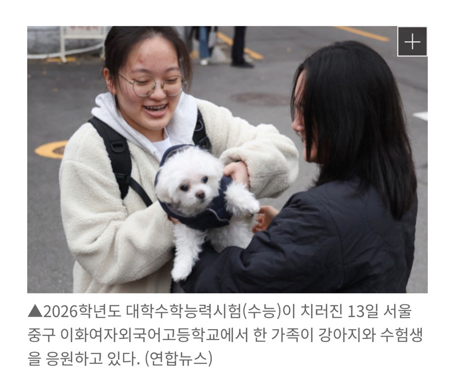 새벽 출동에 '멍'…수능 응원하러 간 강아지들 | 인스티즈