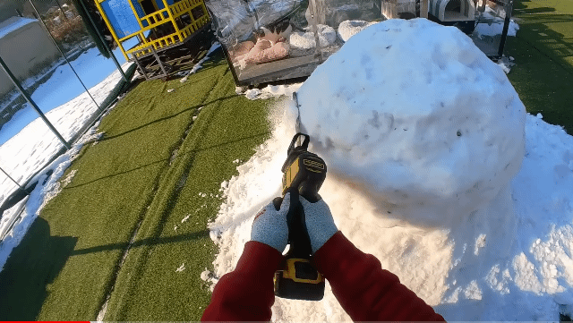 눈으로 집 만들어줬는데 갑자기 싸우는 하하하네 고양이들.gif | 인스티즈