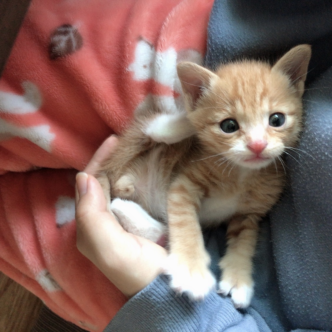 가... | 인스티즈