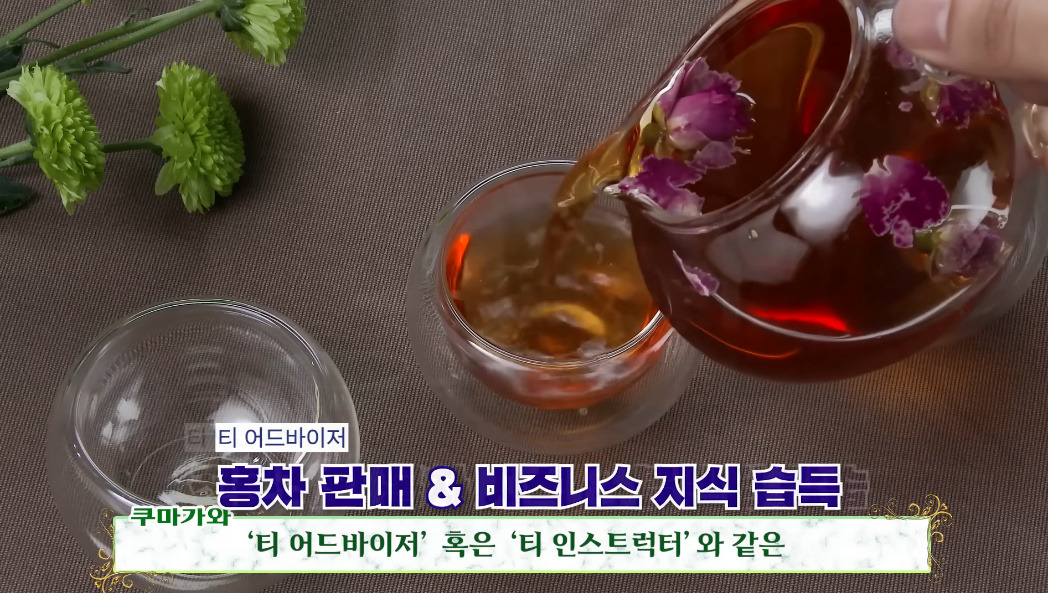 한국 집사카페 얘기 나올 때 마다 일본 집사카페랑 비교된다는 반응이 많은 이유.jpg | 인스티즈