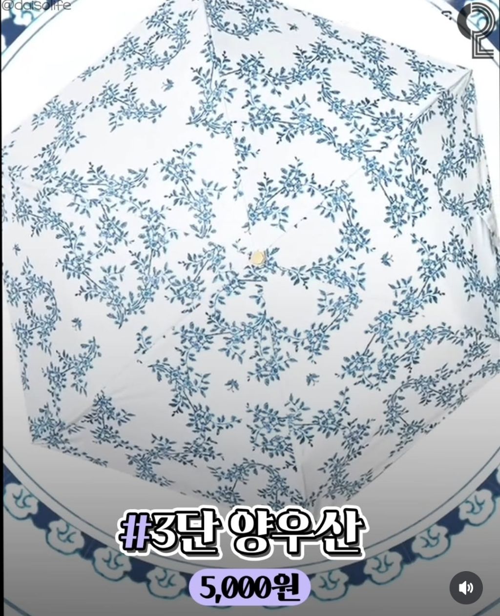 09/15일에 다이소 꼭 가야되는 이유 | 인스티즈