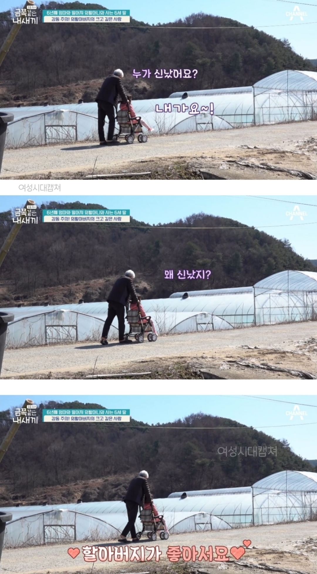 다정함이 전해지던 금쪽이와 할아버지의 산책길 | 인스티즈