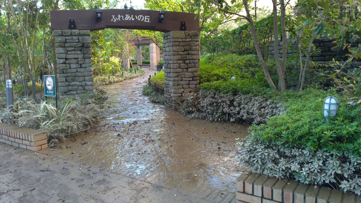 하수구 역류하면 한국과 다르게 일본 길거리만 유독 똥범벅이 되는 이유 | 인스티즈
