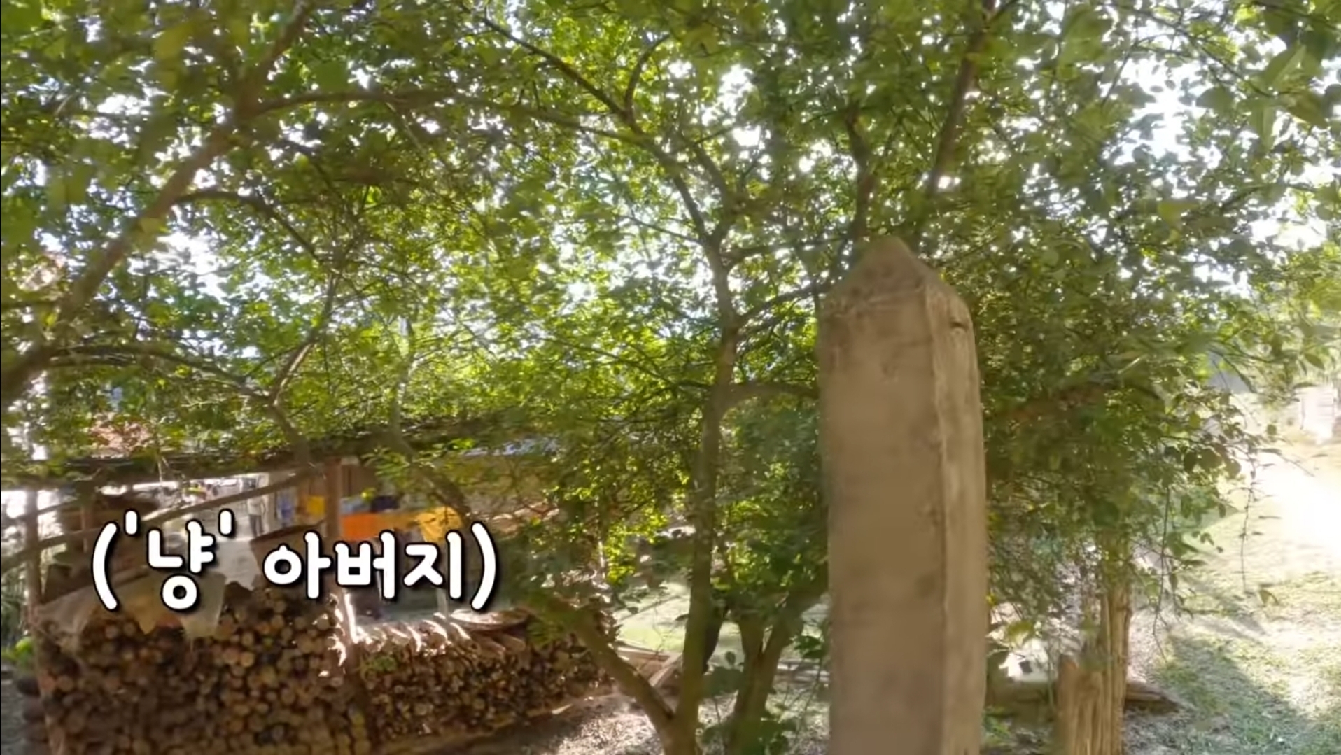 라오스 시골 고3 브이로그 | 인스티즈