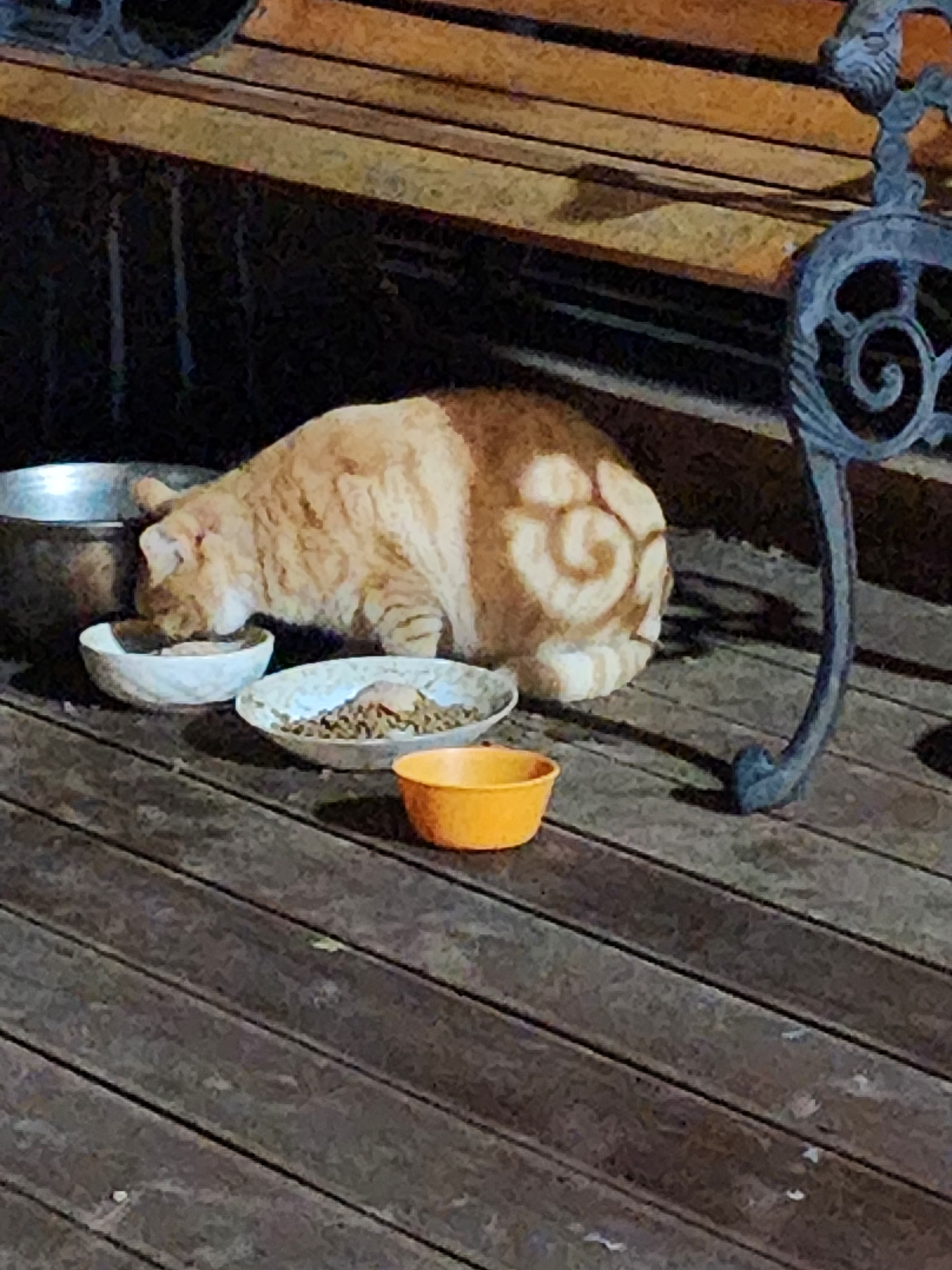 여시 캡쳐 몇개 | 인스티즈