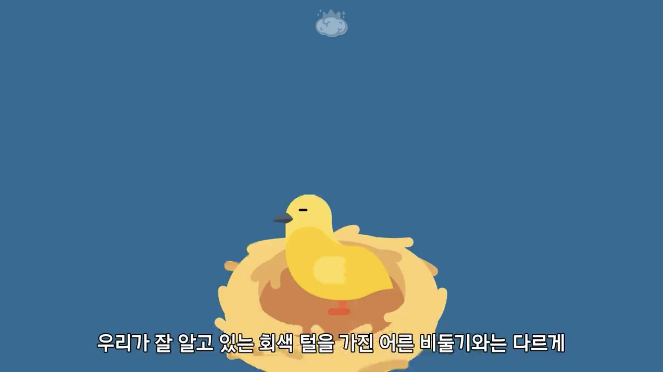거리에 비둘기가 이렇게 많은데 왜 새끼 비둘기는 안 보일까? | 인스티즈