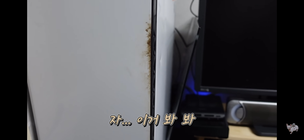 털이 없는 스핑크스는 키우기 편할까? (위생주의) | 인스티즈