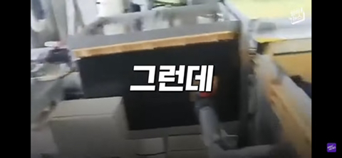 방사능 오염수에서 자란 맛 좋은 일본 광어 | 인스티즈