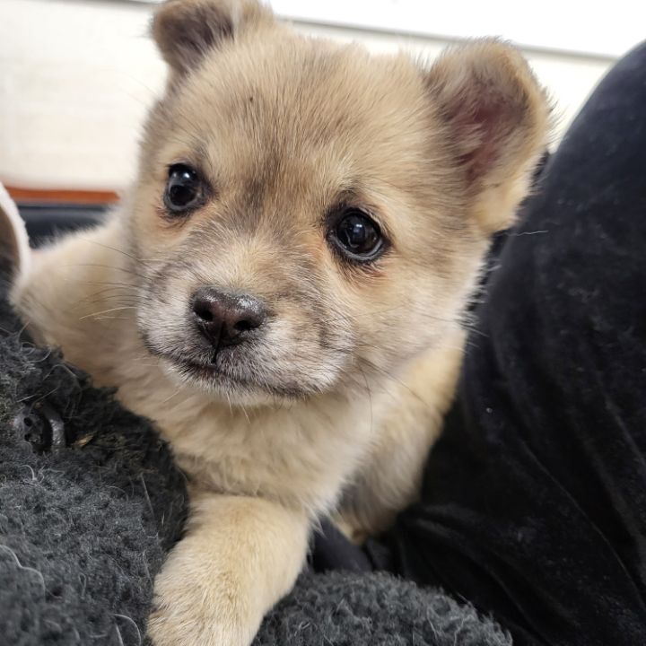 (공지라니... ++추가)새로생긴 회사 복지.. 미쳐서 도저히 일을 못하겠네.. (추가....)++추가 | 인스티즈