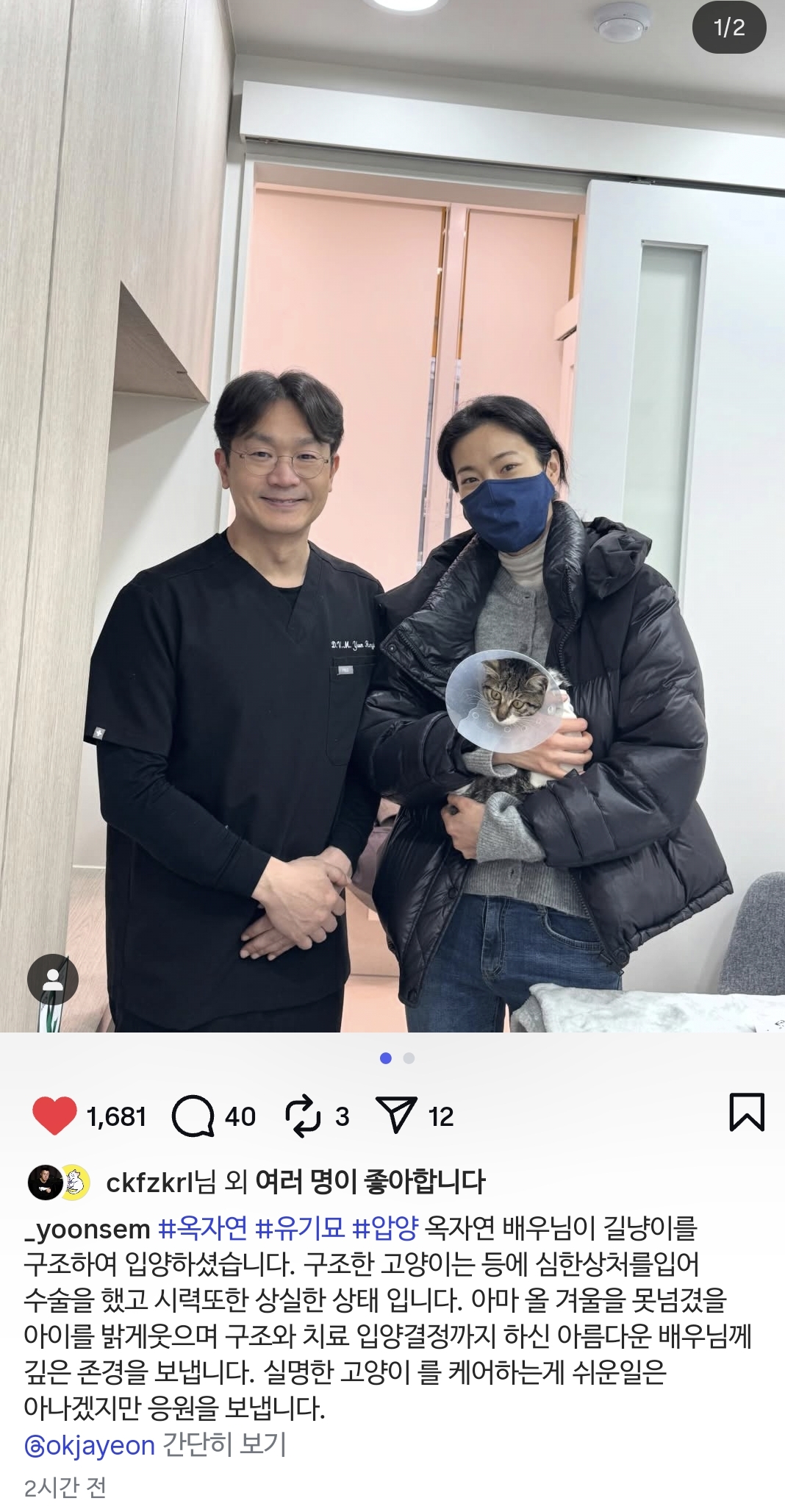 실명된 유기묘를 구조하고 입양까지한 배우 옥자연 | 인스티즈