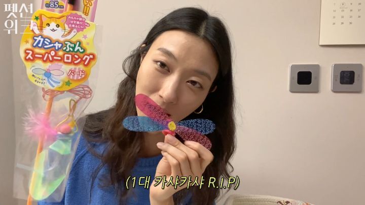 집사들 고양이 장난감 왤케 많이 사는거야 | 인스티즈
