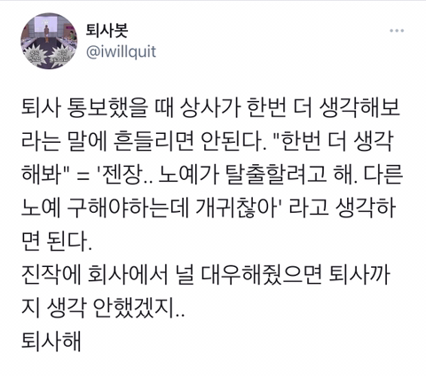 퇴사 통보했을때 잡히지 마라.twt | 인스티즈