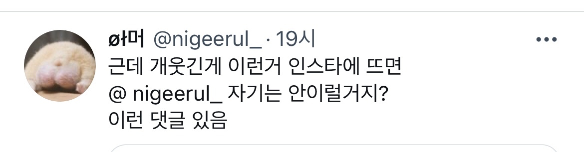 요즘들어 유독 남의 망한 연애/결혼 전시하는 예능이 많아진거 같아 .twt | 인스티즈