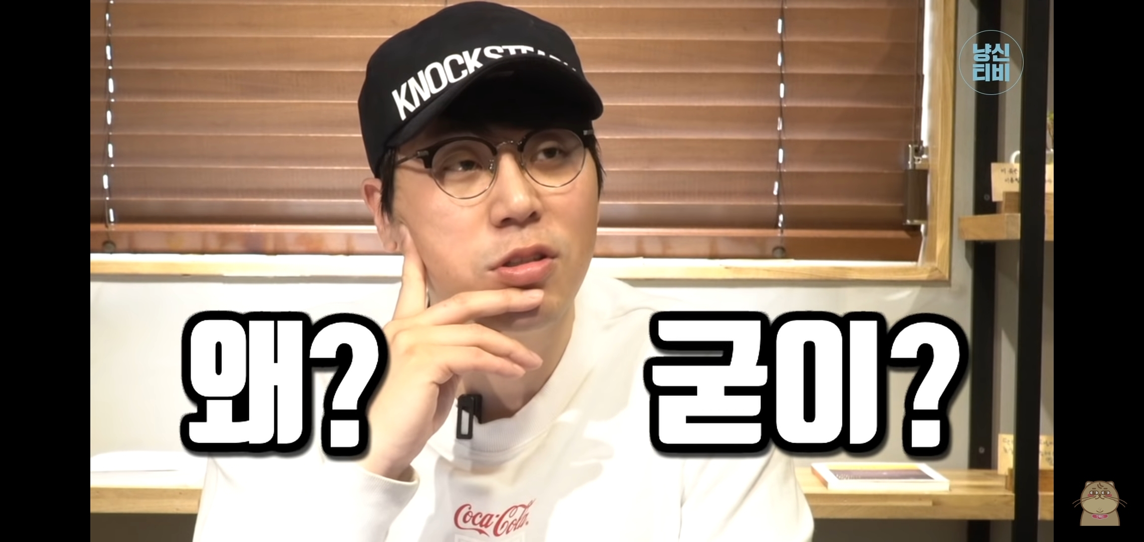 고양이 산책? 하지마!!!!! | 인스티즈