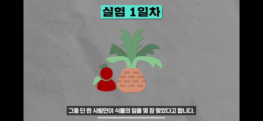 역대급 대충격이였던 식물실험 | 인스티즈