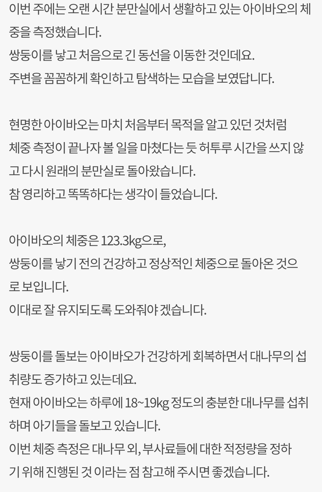 돼지만판다 이미지
