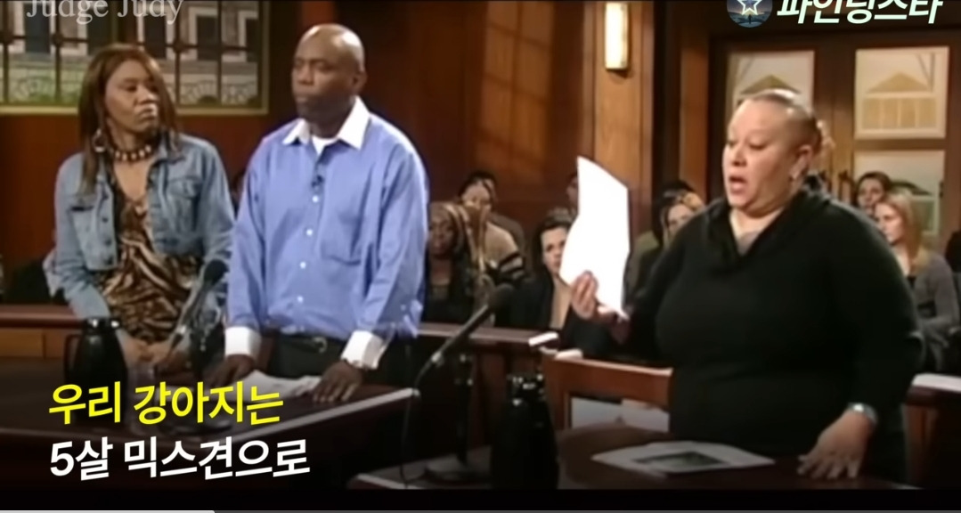 서로 자기 강아지 맞다고 싸우다가 법정까지 감.gif | 인스티즈
