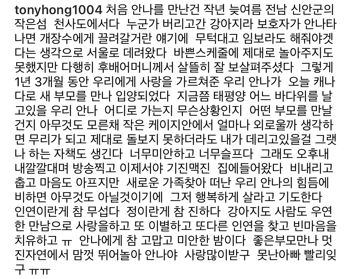 임보하던 강아지 입양 보낸 홍석천 인스타그램.jpg | 인스티즈