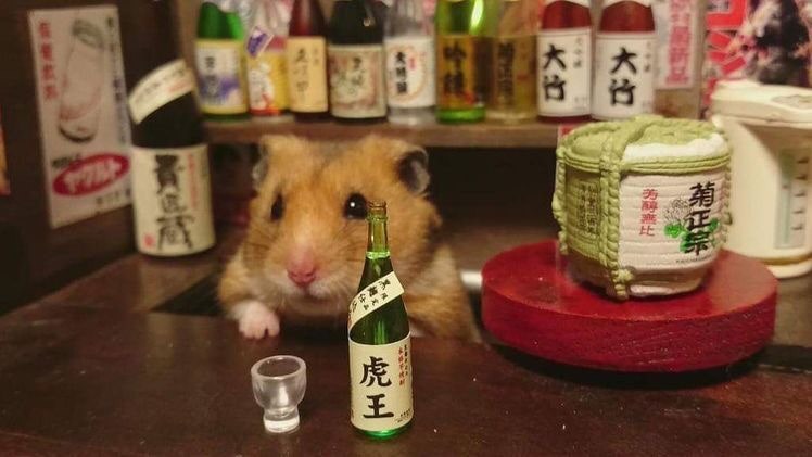 힙합보단 사랑 사랑보단 돈 | 인스티즈