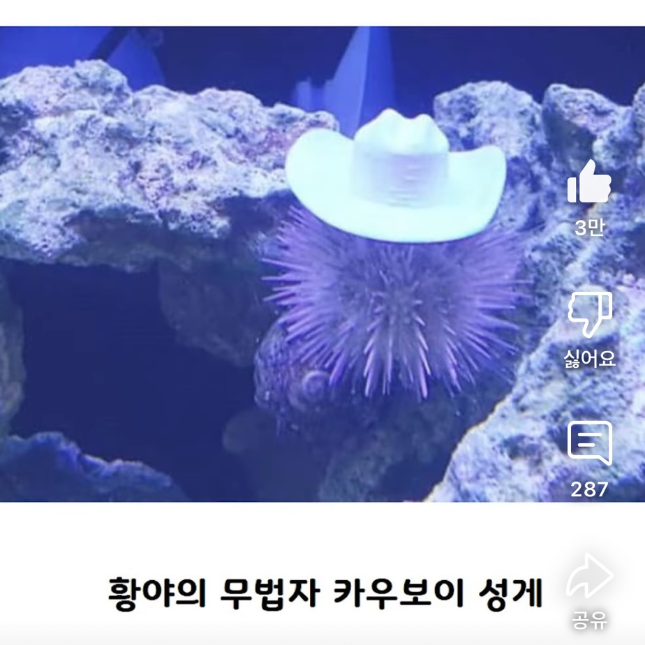 요즘 성게들 사이에서 유행인 것 | 인스티즈